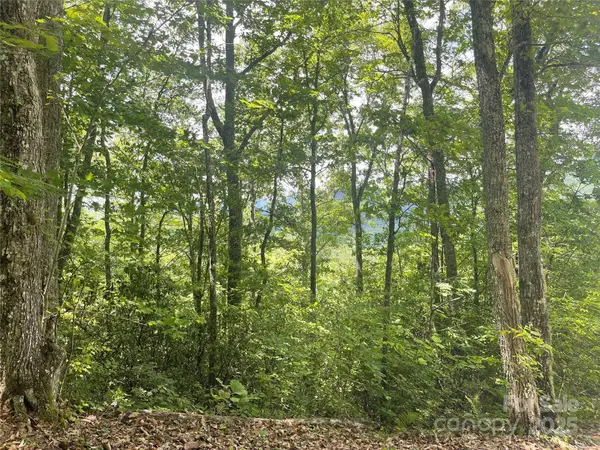 500 Fernwood Drive, Bryson City, NC 28713