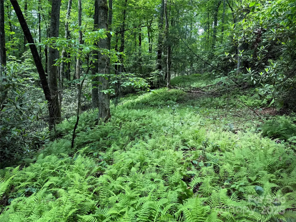 TBD Caroline Lane #7R, Pisgah Forest, NC 28768 - Image #1