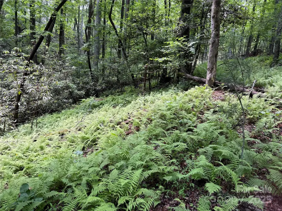 TBD Caroline Lane #7R, Pisgah Forest, NC 28768 - Image #2