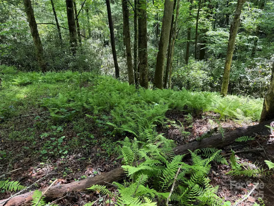 TBD Caroline Lane #7R, Pisgah Forest, NC 28768 - Image #3