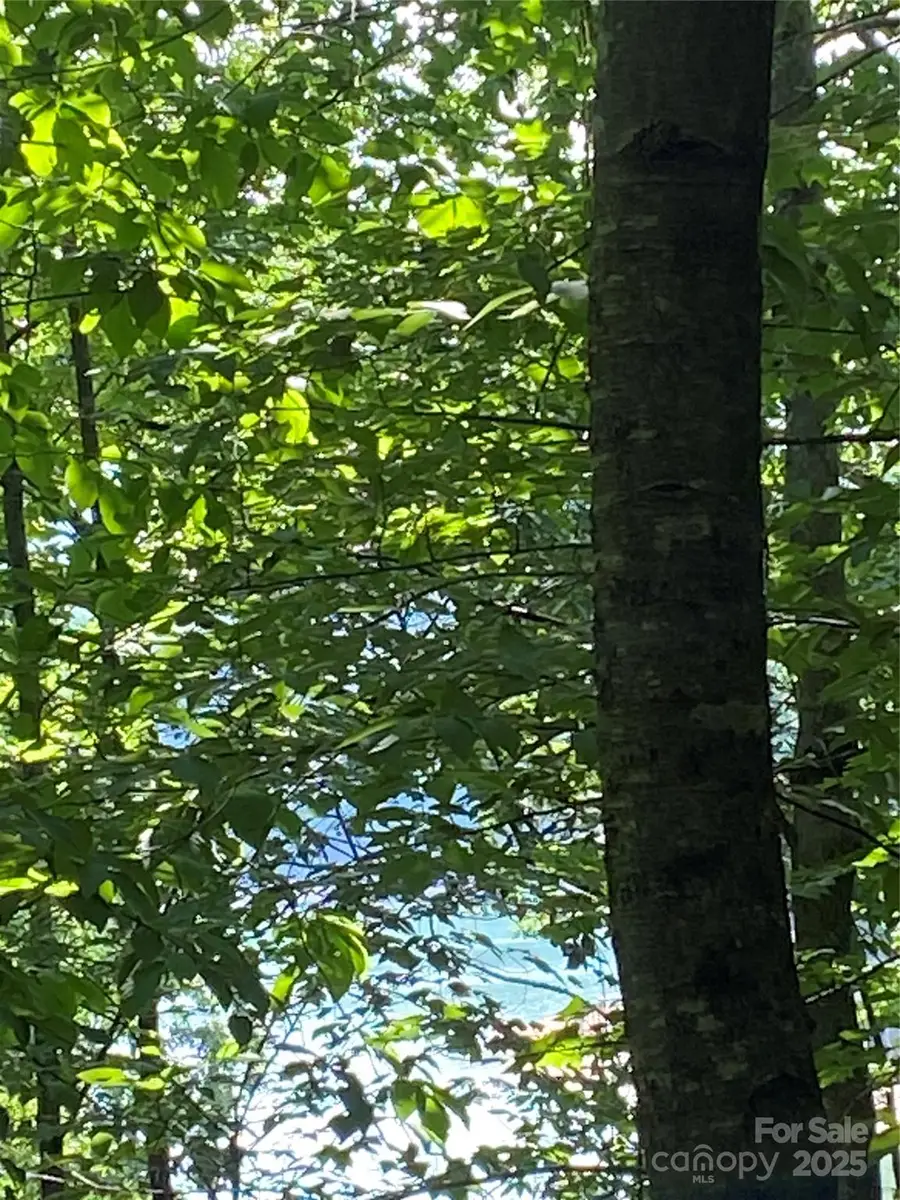 0 Falcons Avenue #12, Lake Lure, NC 28746 - Image #2