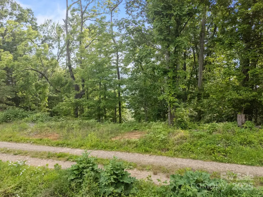 00 Granny Shepherd Road, Mars Hill, NC 28754 - Image #2