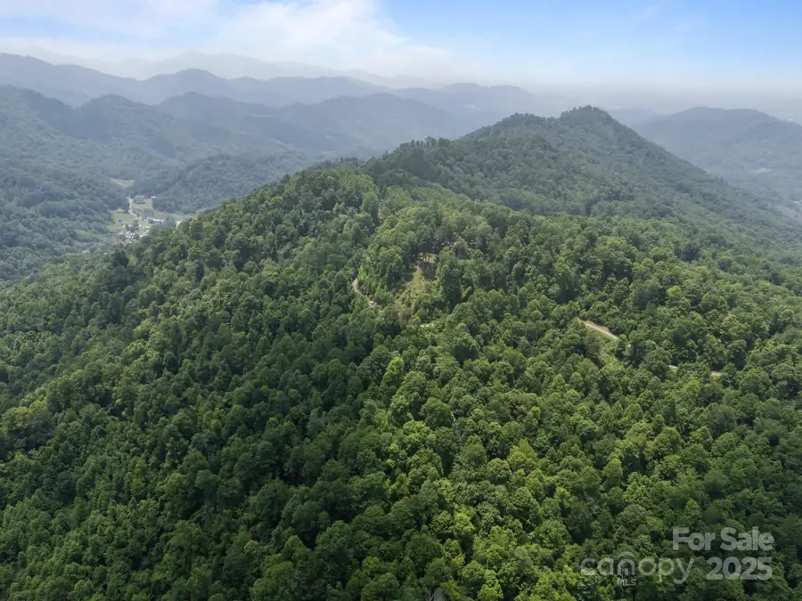 55 Red Wolf Run, Burnsville, NC 28714 - Image #3