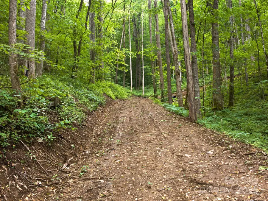 23 Forbidden Cove, Waynesville, NC 28785 - Image #3