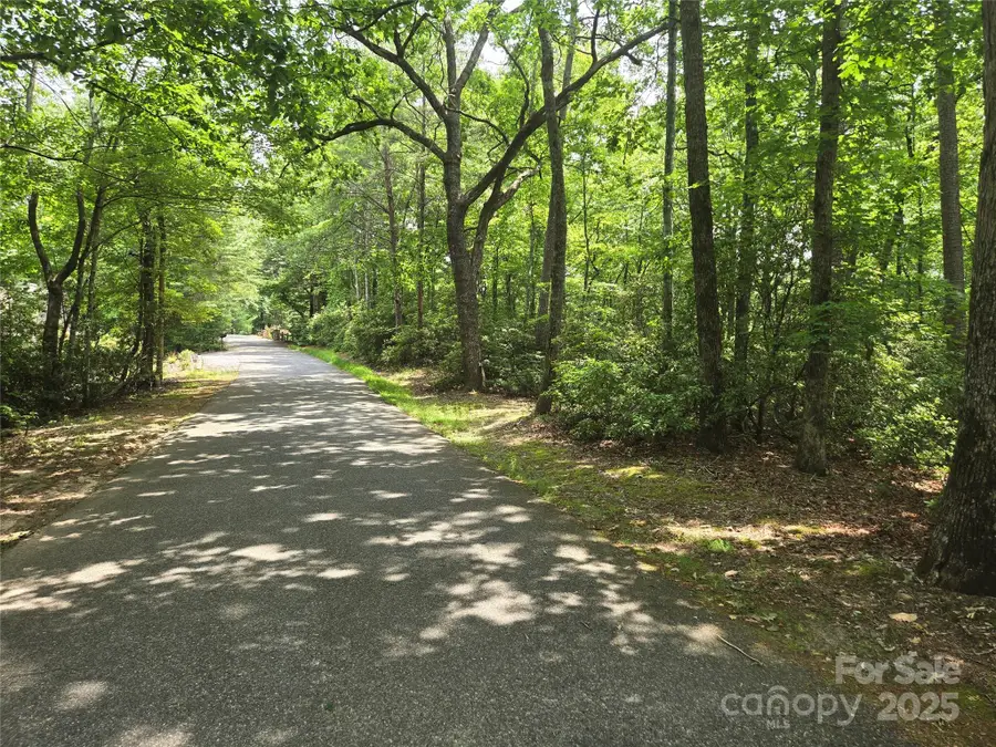 Lot 159 Sullivan Lane, Lake Lure, NC 28746 - Image #2