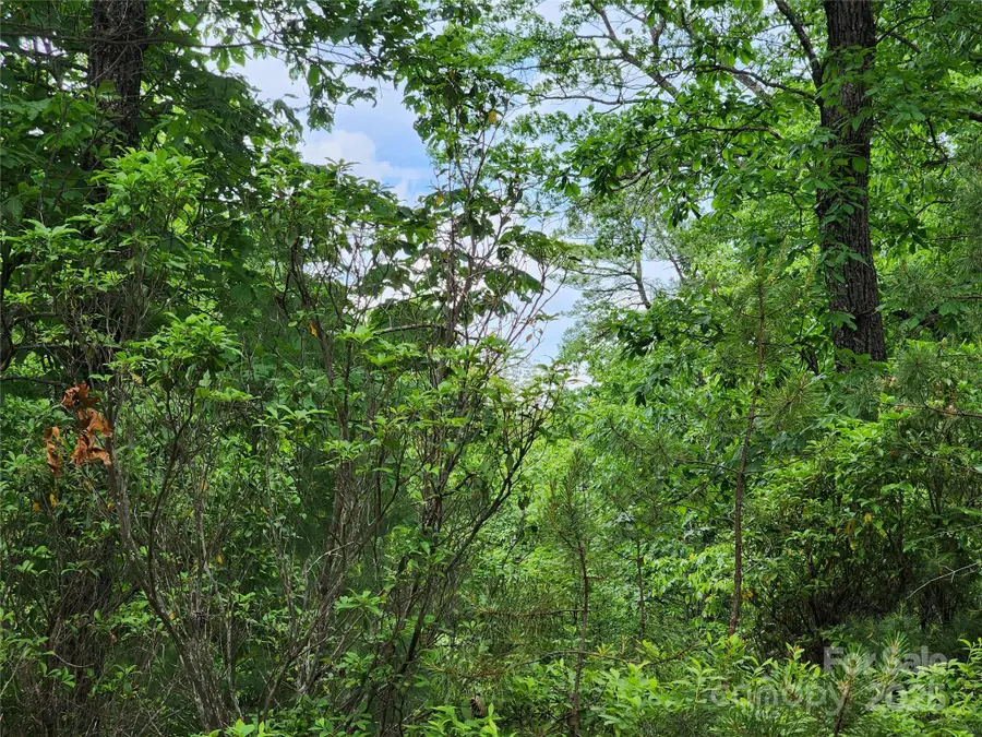 TBD Derby Chase Court, McGrady, NC 28649 - Image #3