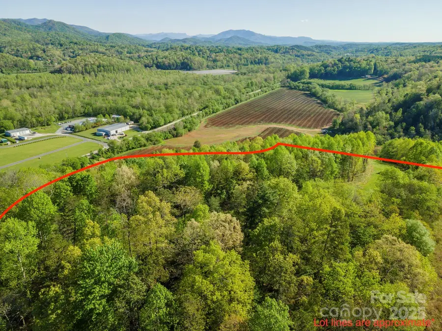 000 Thousand Oaks Drive, Old Fort Township, NC 28752 - Image #2