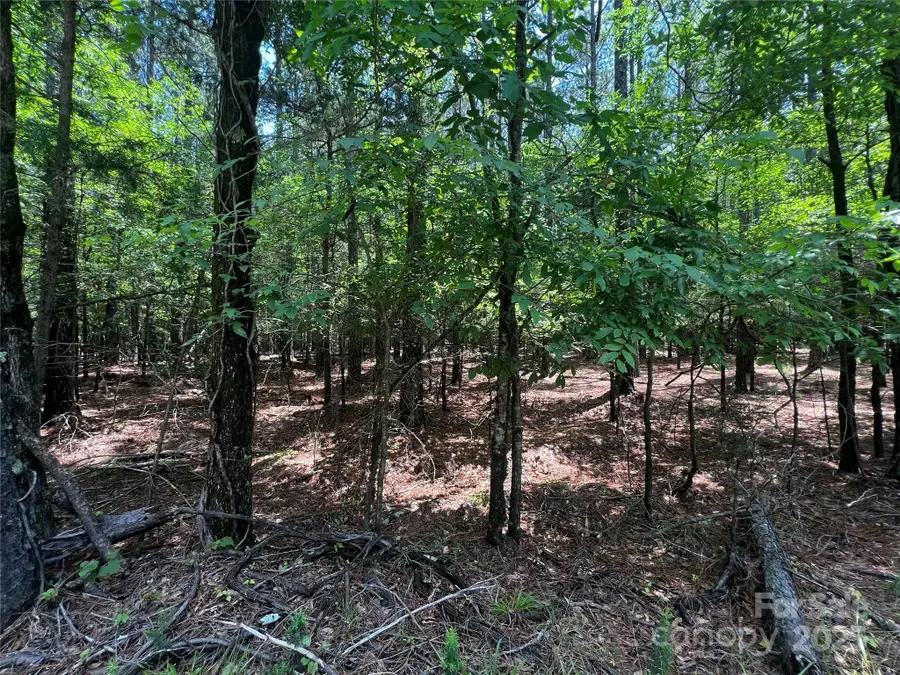 Lot A Sandlapper Drive #A, York, SC 29745 - Image #2