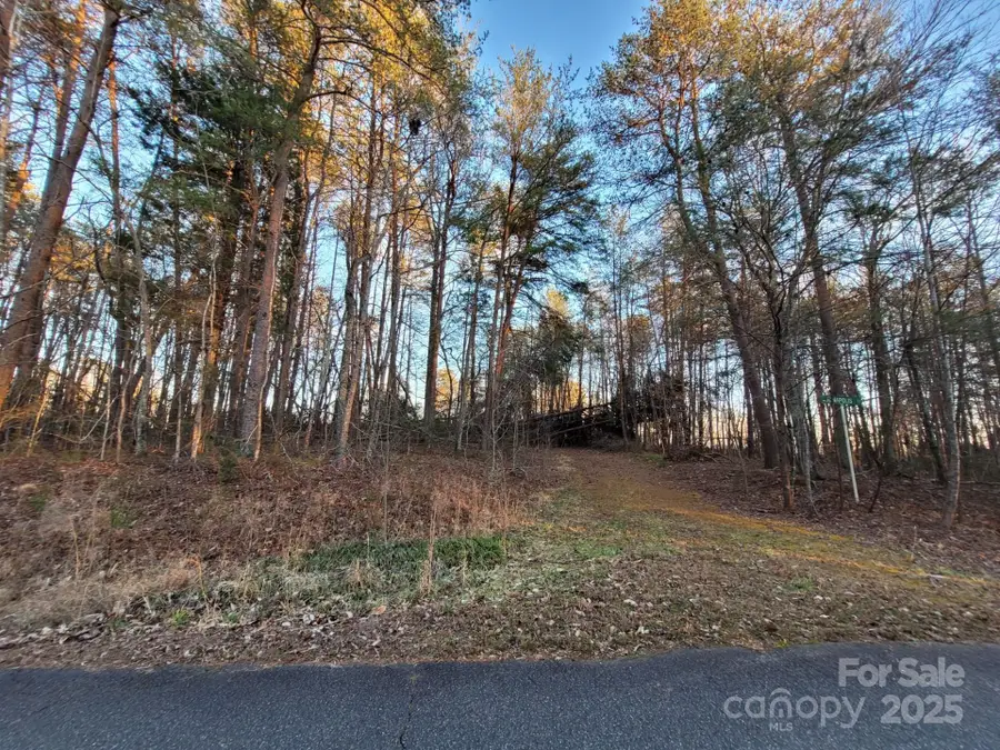 00 Washburn Lane, Rutherfordton, NC 28139 - Image #3