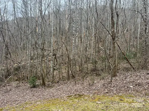 0 English Setter Trail #Lot 8, Whittier, NC 28789