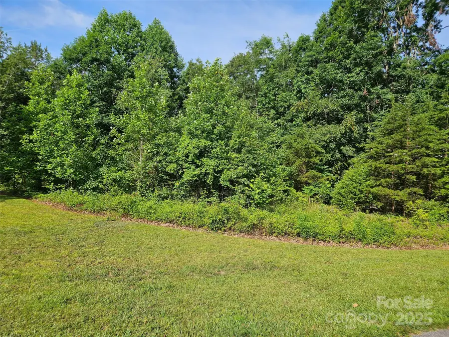 0 Shepherds Creek Circle #Lot 5, Rutherfordton, NC 28139 - Image #3