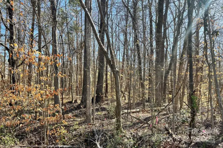 01 Lurecliff Place, Fort Mill, SC 29708 - Image #2