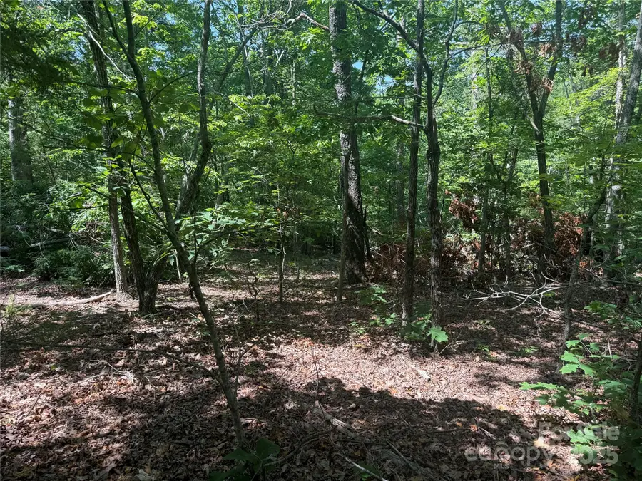 0 Crescent Ridge Lane #373, Nebo, NC 28761 - Image #2