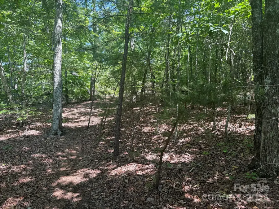 0 Crescent Ridge Lane #373, Nebo, NC 28761 - Image #3