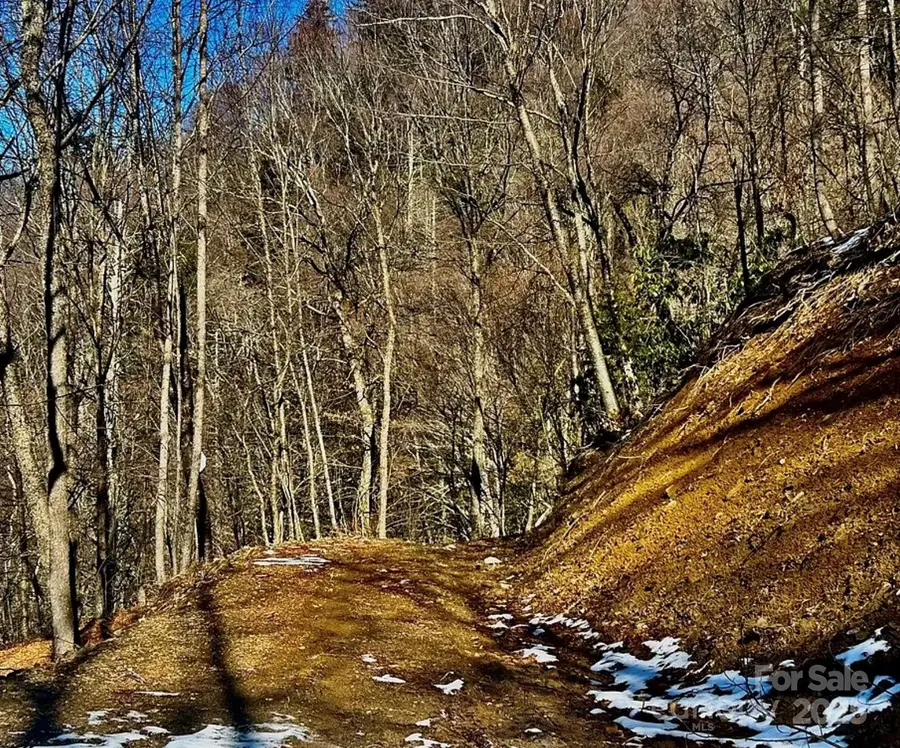 3689 Plott Balsam Road, Qualla, NC 28779 - Image #3