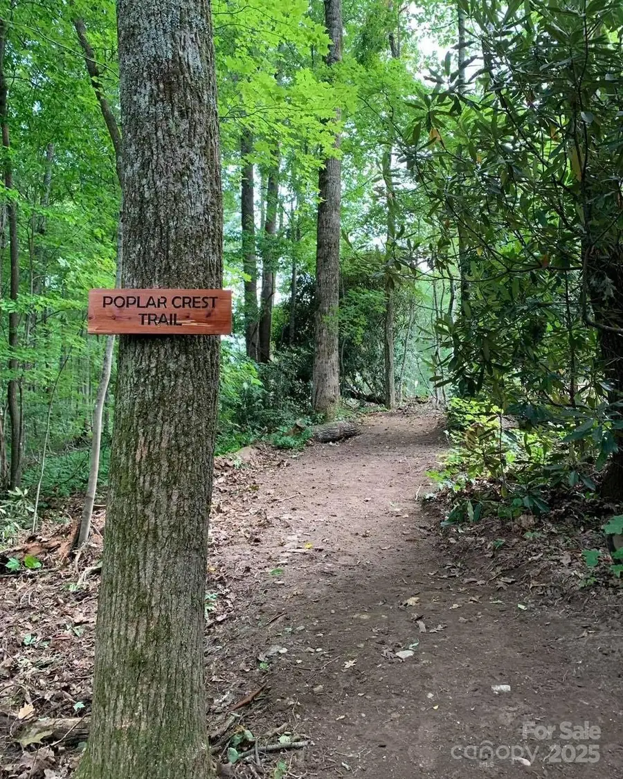 Lot 30 Trillium Garden Way #30, Fletcher, NC 28732 - Image #3