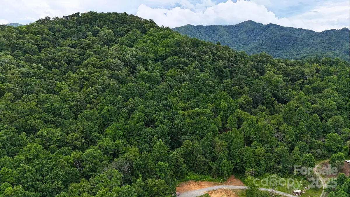 0000 Wayward Cove #18, Clyde, NC 28721 - Image #1