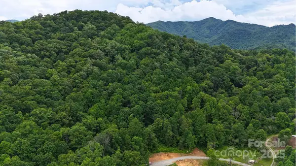 0000 Wayward Cove #18, Clyde, NC 28721