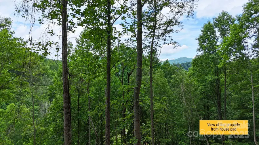 0000 Wayward Cove #18, Clyde, NC 28721 - Image #3