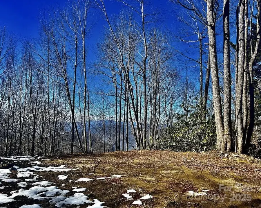 3837 & 3689 Plott Balsam Road, Maggie Valley, NC 28751 - Image #2