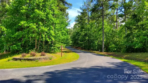 0000 Loblolly Lane #24/23/22, Mill Spring, NC 28756