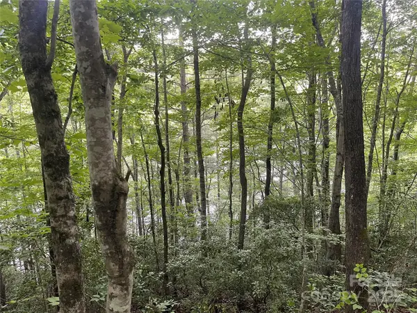 2642 Canada Road, Tuckasegee, NC 28783