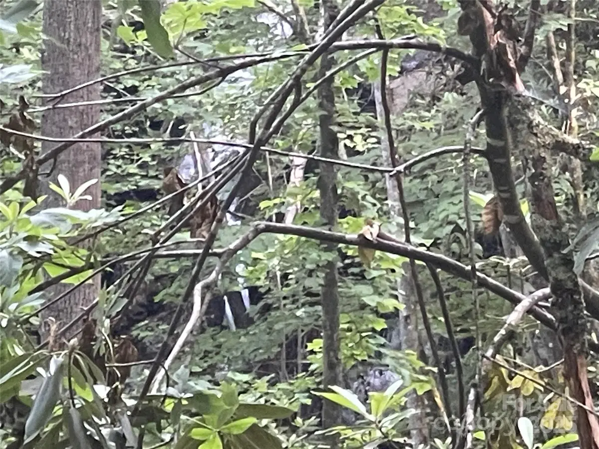 2600 Canada Road, Tuckasegee, NC 28783 - Image #1