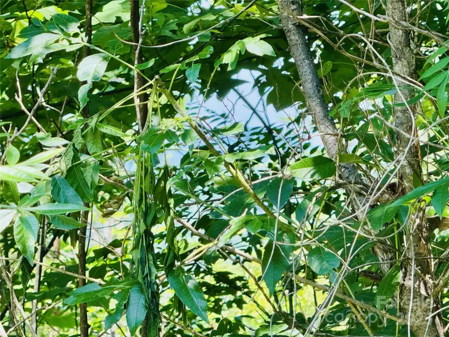 2.66 acres, Lot 903 High Valley Way #903, Lenoir, NC 28645 - Image #3