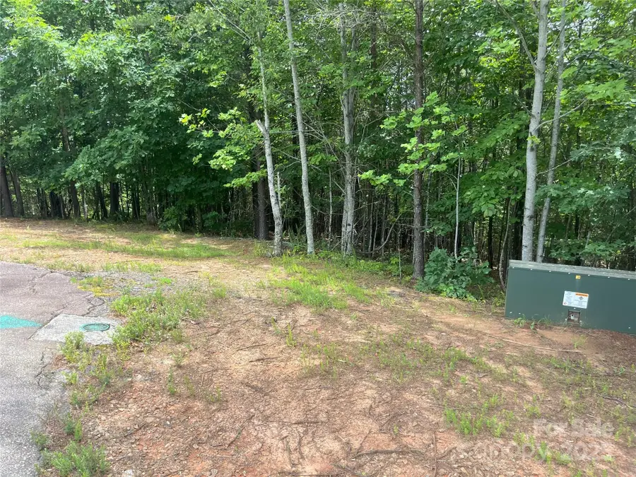 00 Deep Gap Road E #59, Mill Spring, NC 28756 - Image #3