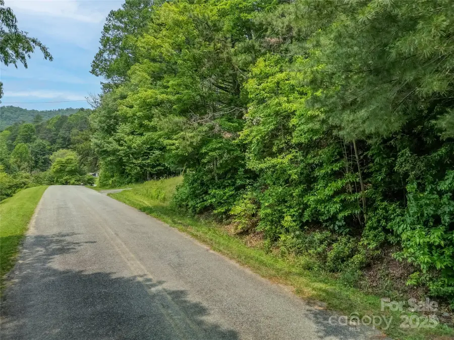 0000 Israel Road, Brevard, NC 28712 - Image #3