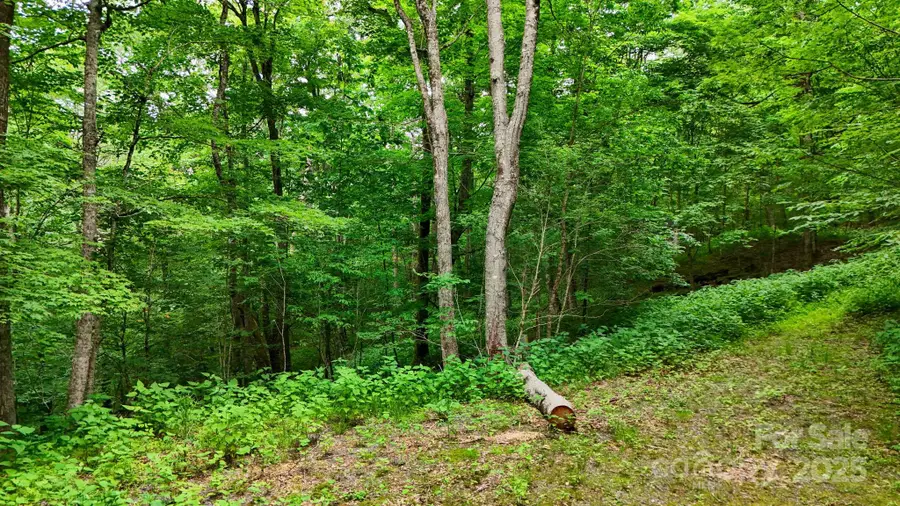 233 Woodland Springs Trail #14, Boone, NC 28607 - Image #2