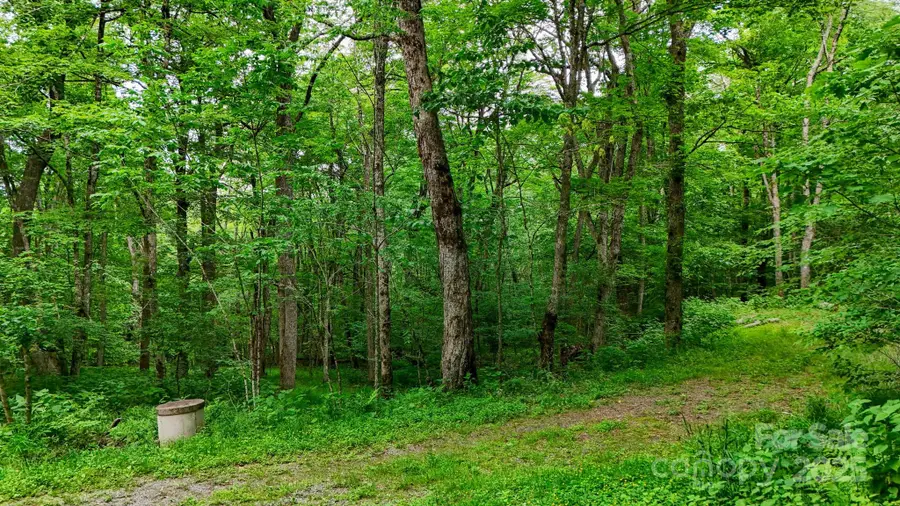 233 Woodland Springs Trail #14, Boone, NC 28607 - Image #3