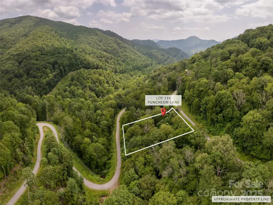 000 Puncheon Lane #174, Mars Hill, NC 28754 - Image #2