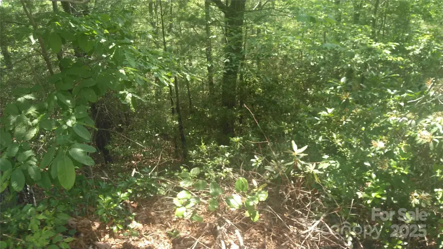 Lot 2F Seminole Path, Marion, NC 28752 - Image #3