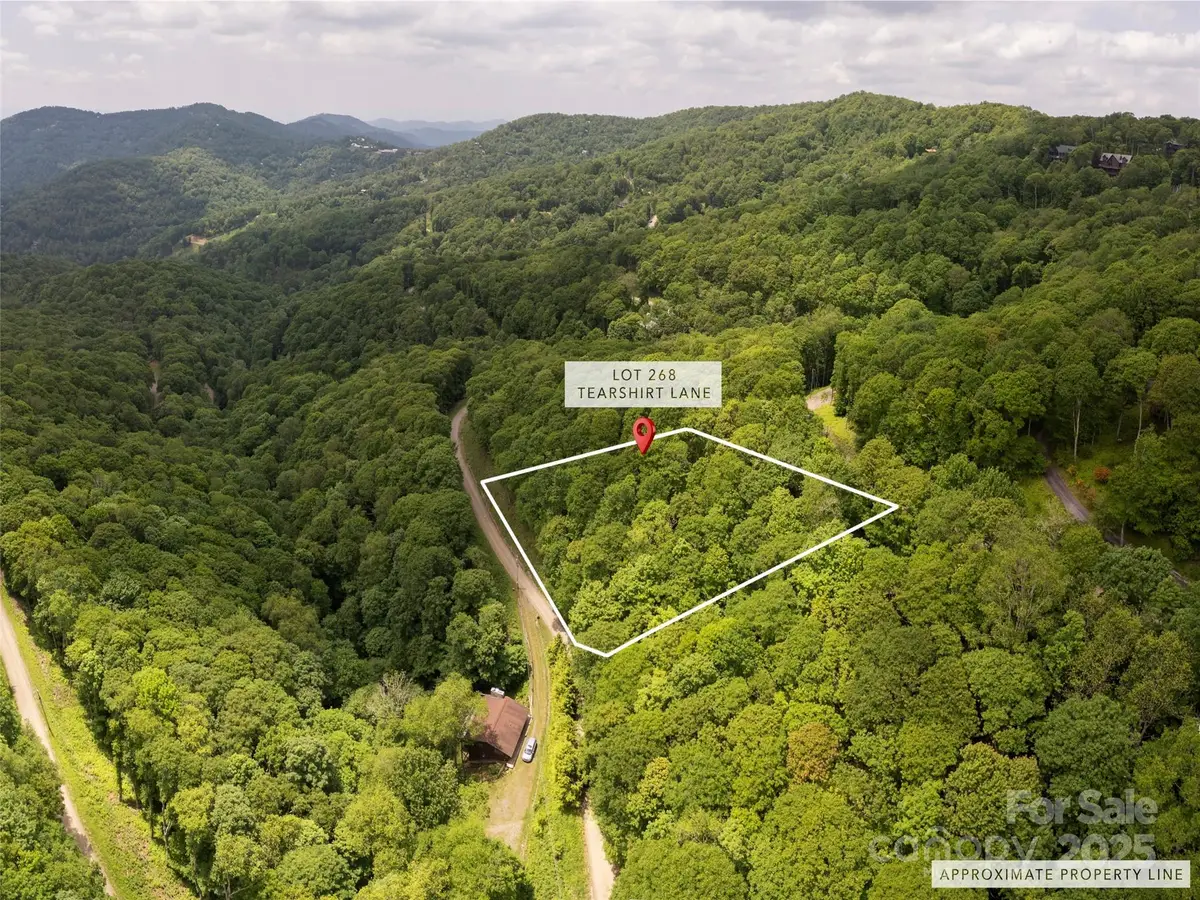 000 Tearshirt Lane #268, Mars Hill, NC 28754 - Image #1