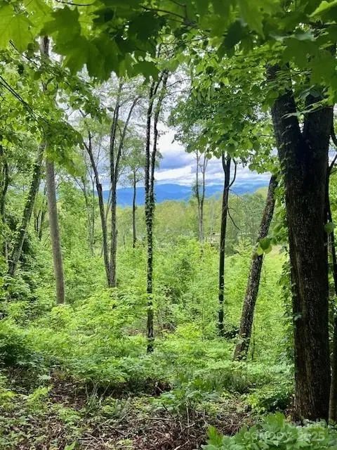 Lot 81 Ball Camp Road #81/1, Burnsville, NC 28714 - Image #1