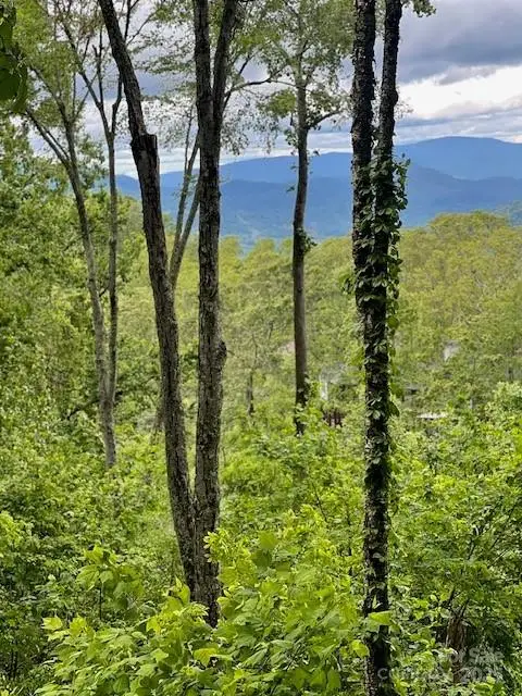 Lot 81 Ball Camp Road #81/1, Burnsville, NC 28714 - Image #2