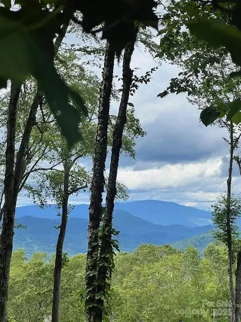 Lot 81 Ball Camp Road #81/1, Burnsville, NC 28714 - Image #3