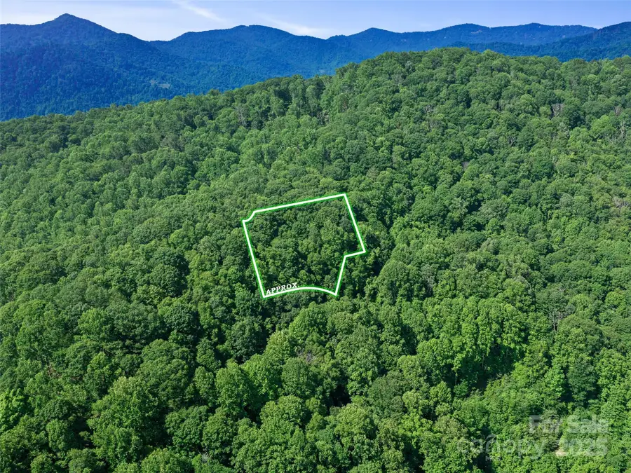 #3 TBD Lotties Creek Road #Lots 37, 42, Burnsville, NC 28714 - Image #2