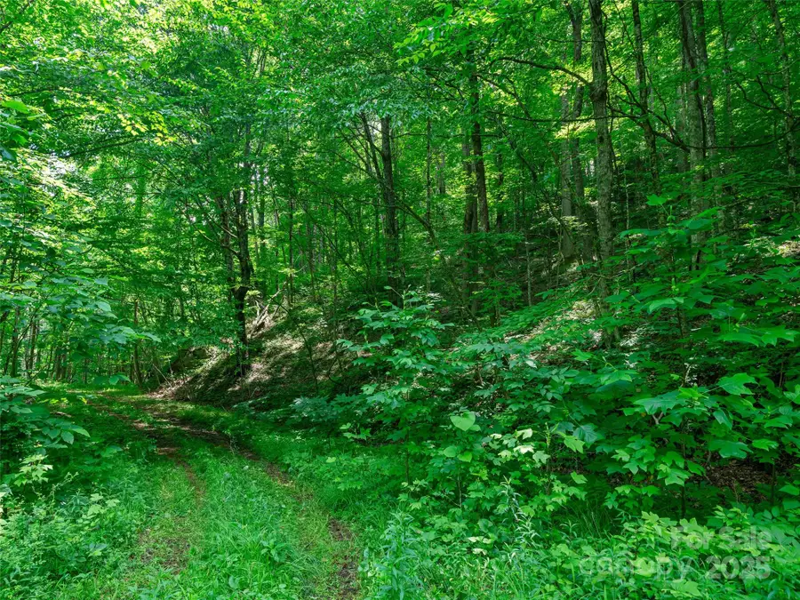 #3 TBD Lotties Creek Road #Lots 37, 42, Burnsville, NC 28714 - Image #3