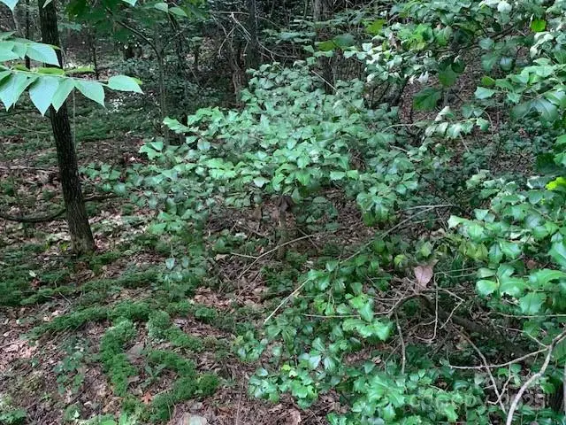 7.67 AC. Holbert Cove Road #7.67 AC., Saluda, NC 28773 - Image #1