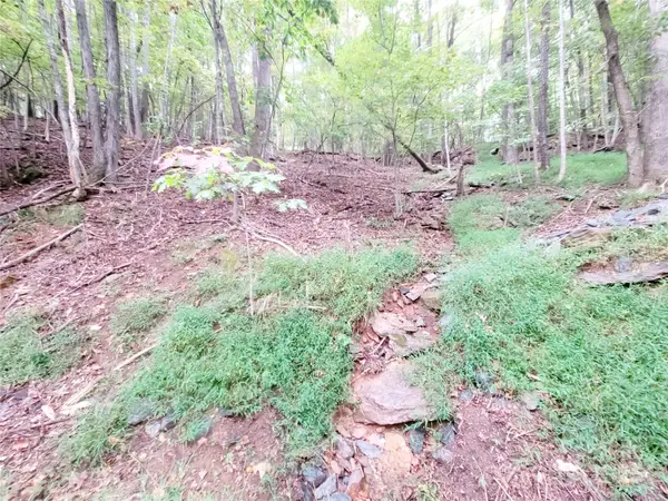 47 Sourwood Drive #197, Mills River, NC 28759