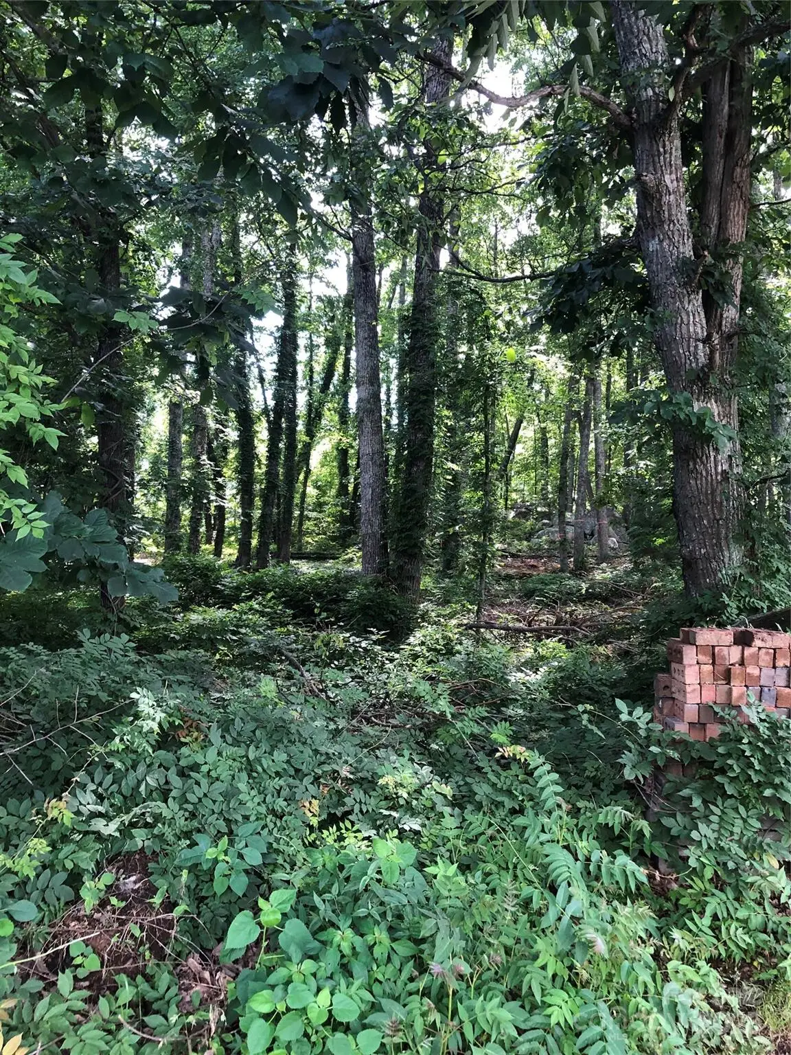 Lot 6-7 Ridgeline Drive, Salisbury, NC 28146 - Image #1