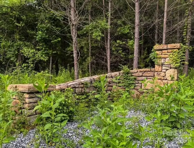 000 Thompson Lake Road, Rutherfordton, NC 28139 - Image #1