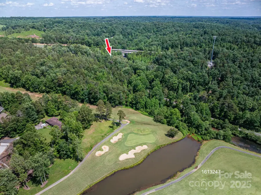 Lot #6 Cleghorn Mill Road, Rutherfordton, NC 28139 - Image #2