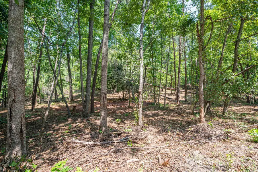 Lot 0 Annapolis Court, Rutherfordton, NC 28139 - Image #2