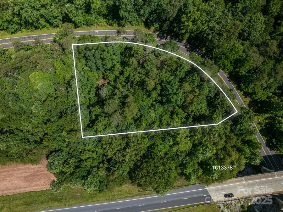 Lot #69 Cleghorn Mill Road, Rutherfordton, NC 28139 - Image #2