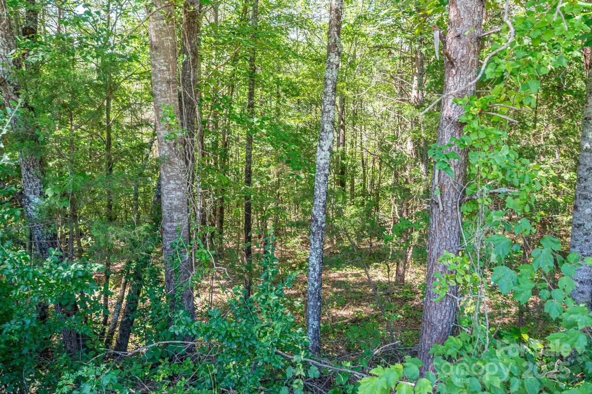 Lot 7 Meadow Crossing Drive, Rutherfordton, NC 28139 - #1