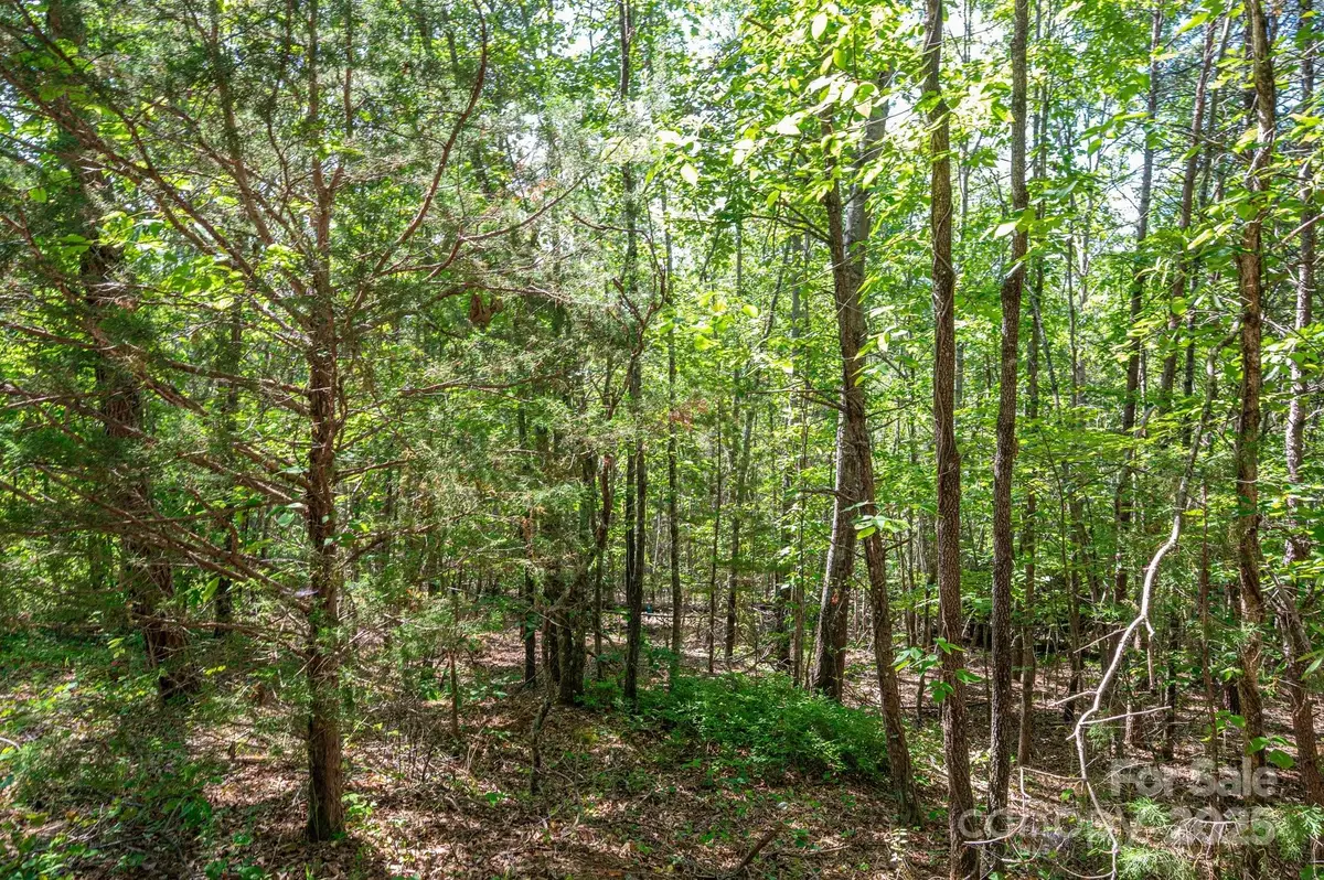 Lot #14 Meadow Crossing Drive, Rutherfordton, NC 28139 - Image #1