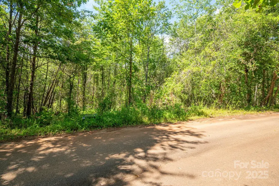 Lot #14 Meadow Crossing Drive, Rutherfordton, NC 28139 - Image #3